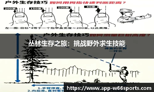 w66利来体育